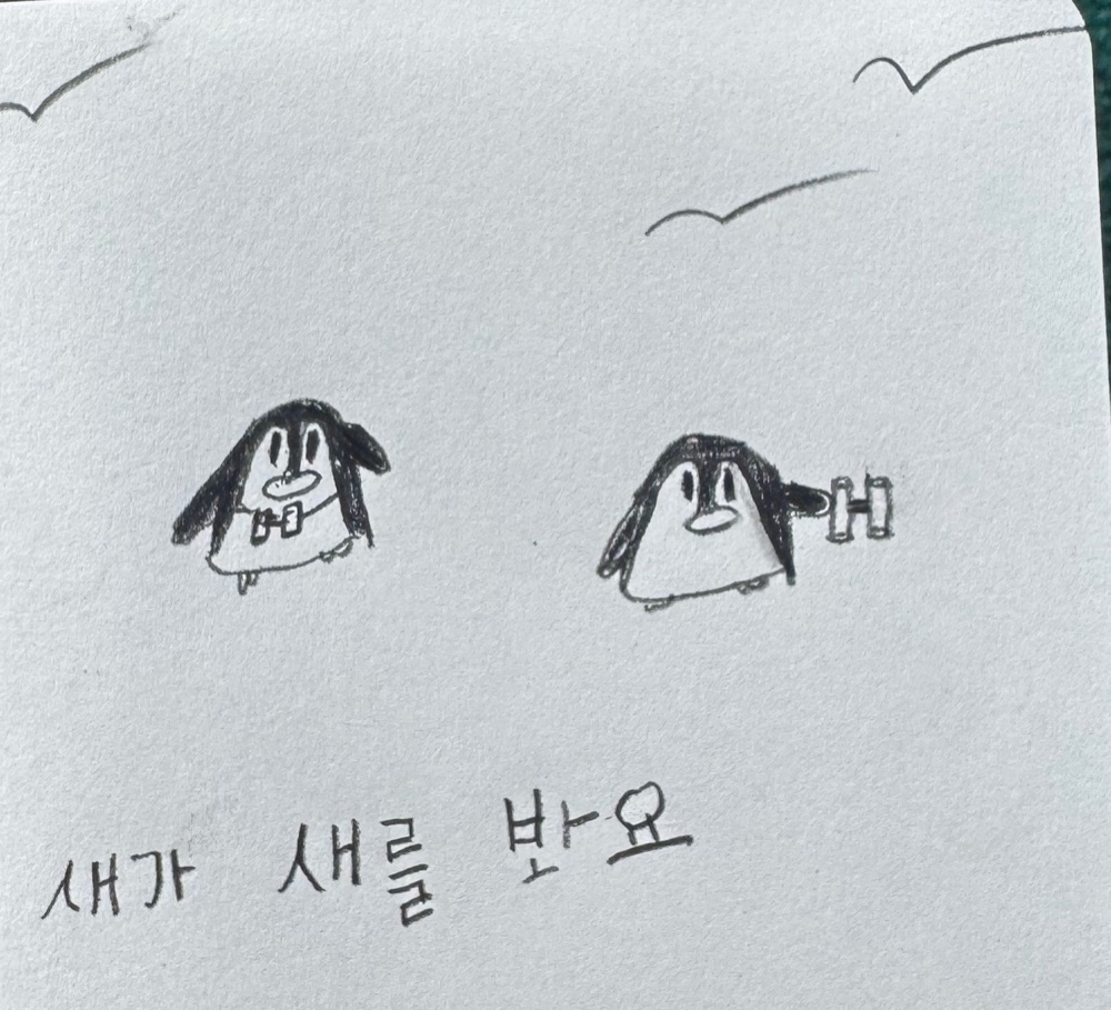 The original pencil sketch: two round little birds, one with binoculars on its chest and one holding binoculars to its eye, three gulls in the sky, and the handwritten words 새가 새를 봐요